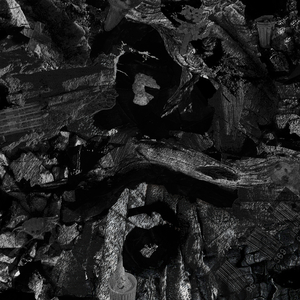 搡老熟女乱婬一区二区
